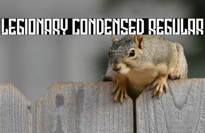 Legionary Condensed Regular Example 2