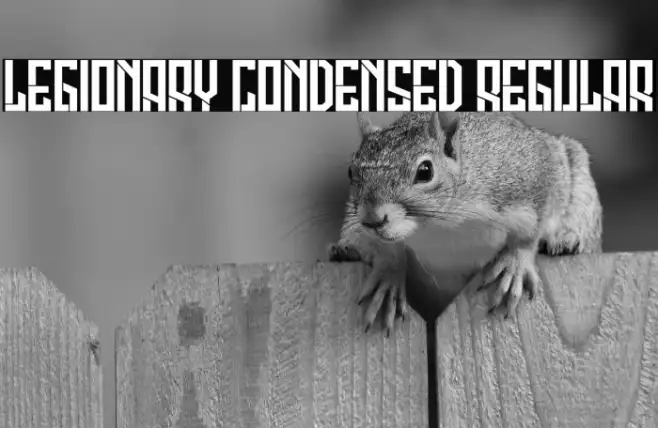 Legionary Condensed Regular Example 2