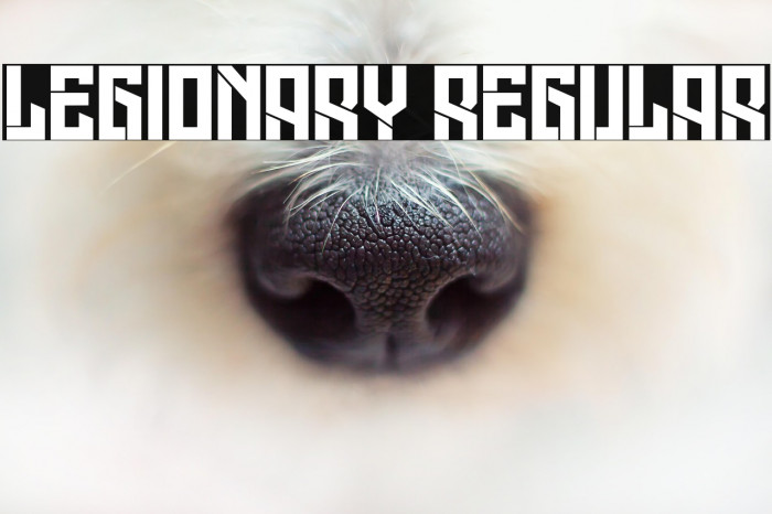 Legionary Regular Example 3