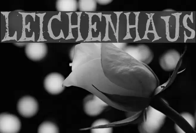 Leichenhaus Font examples