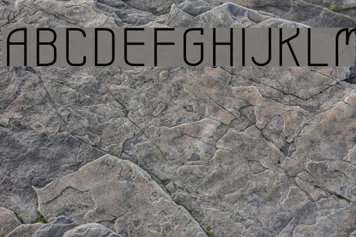 Leicht bold Font examples