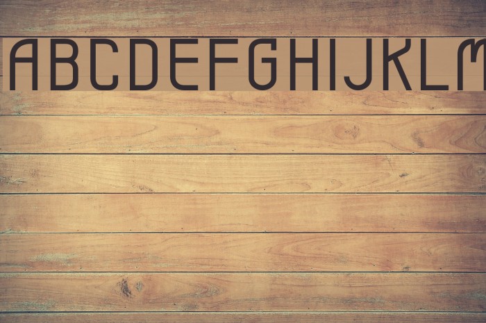 Leicht book Font examples