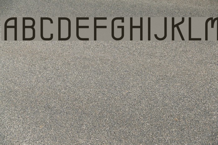 Leicht book Font examples