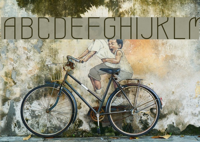 Leicht Font examples