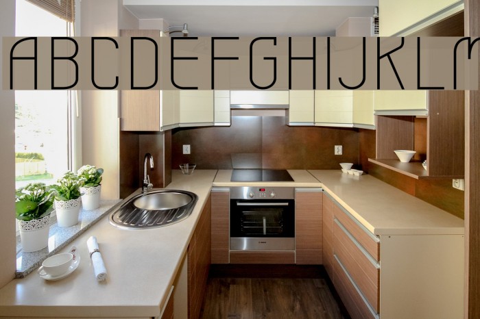 Leicht Font examples