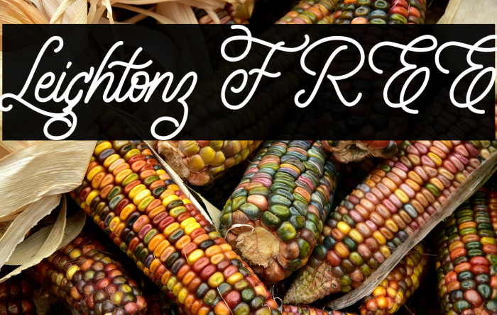 Leightonz FREE Example 2