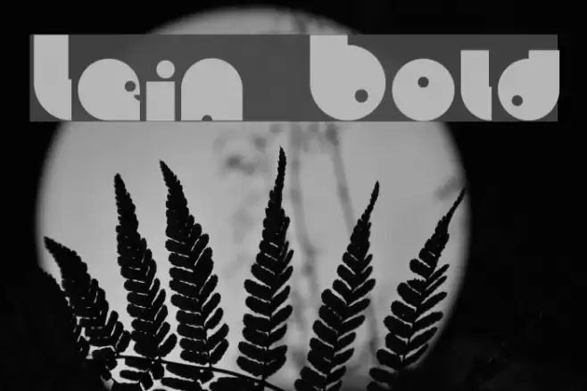 Lein Bold Font examples