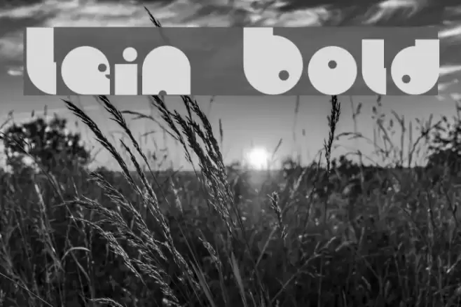 Lein Bold Font examples