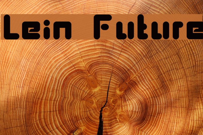 Lein Future Fonte examples