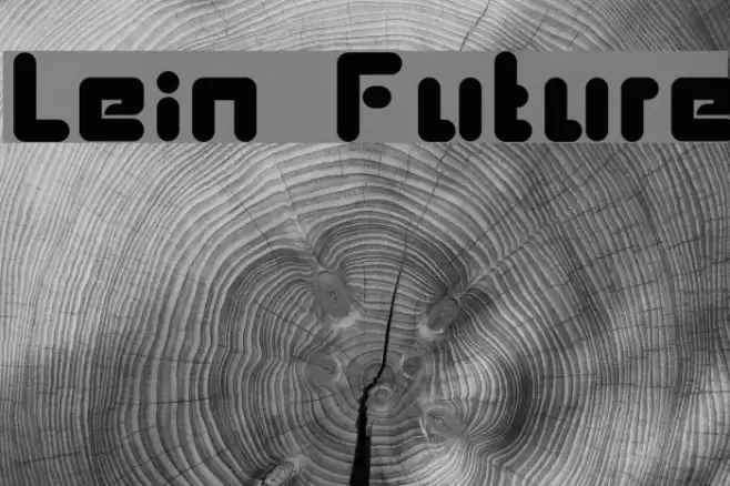 Lein Future Font examples