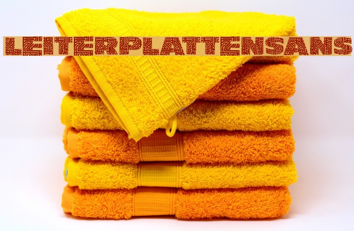 LeiterplattenSans Font examples