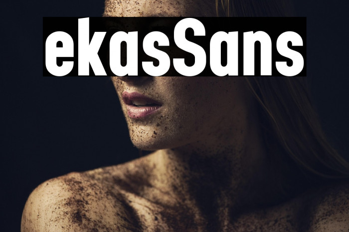 Lekas Sans Example 1