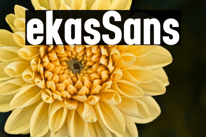 Lekas Sans Example 3