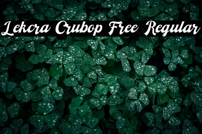 Lekcra Crubop Free Regular Example 2