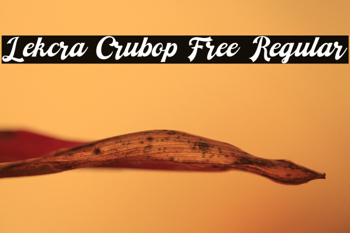 Lekcra Crubop Free Regular Example 3