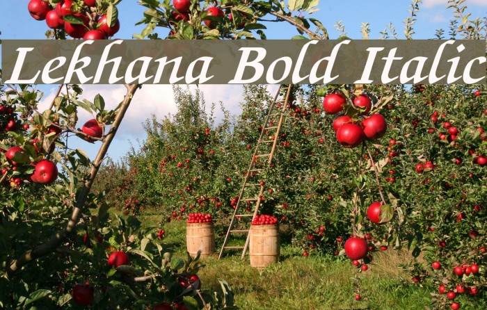 Lekhana Bold Italic Font examples