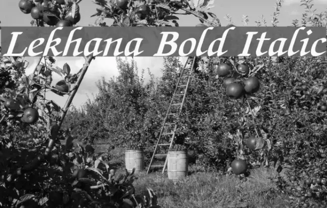 Lekhana Bold Italic Example 2