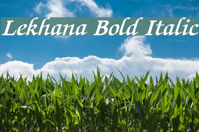Lekhana Bold Italic Font examples