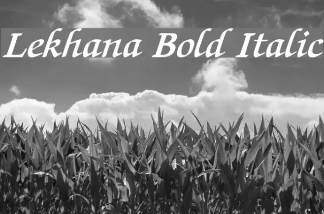 Lekhana Bold Italic Example 3