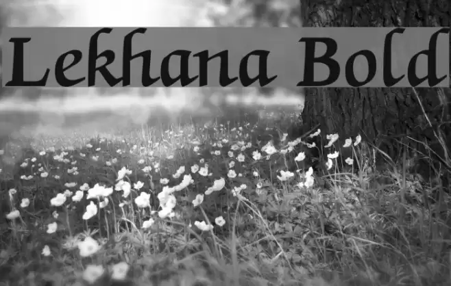 Lekhana Bold Font examples