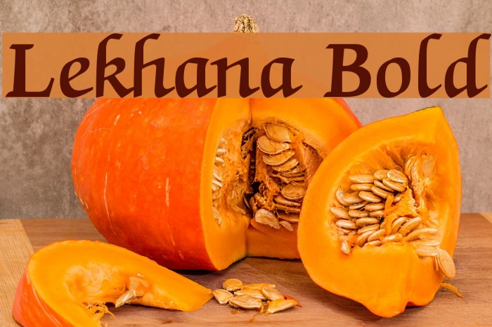 Lekhana Bold Font examples