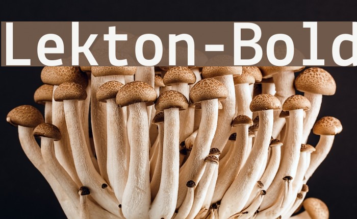 Lekton-Bold Font examples