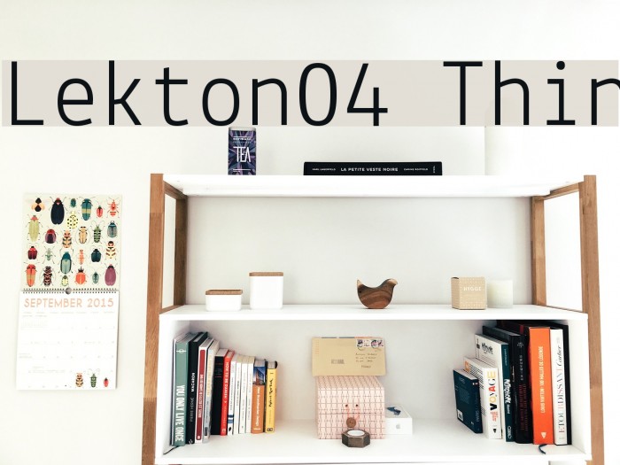 Lekton04 Thin Font examples