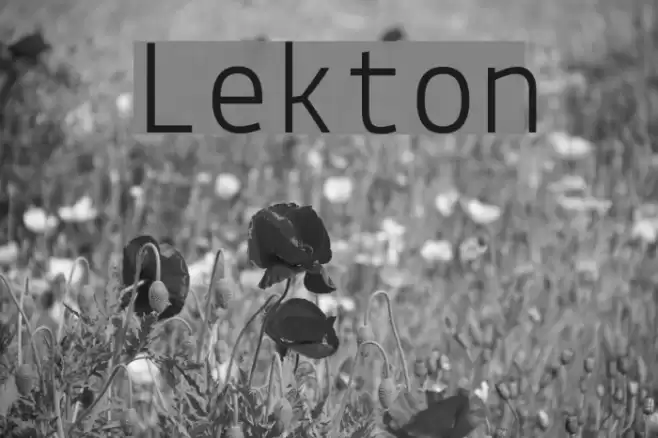 Lekton Font examples