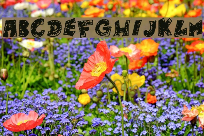 Lele's scribadoo Font examples