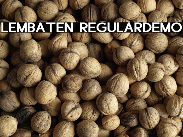 Lembaten RegularDemo Example 2