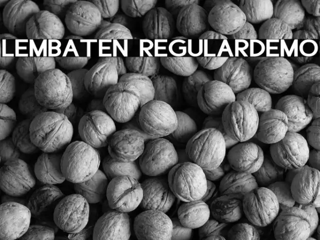 Lembaten RegularDemo Example 2