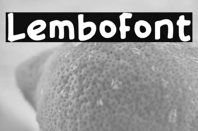 Lembo Example 2