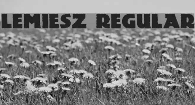 Lemiesz Regular Polices examples