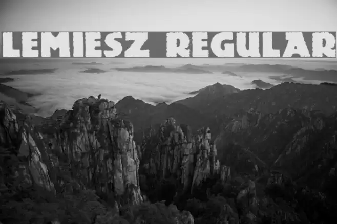 Lemiesz Regular Polices examples