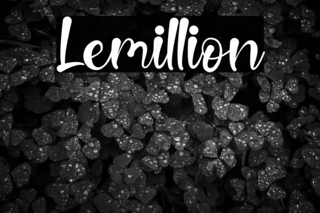 Lemillion Example 2