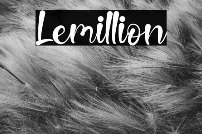 Lemillion Example 3