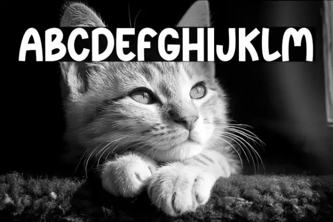 Lemon Beach Font examples