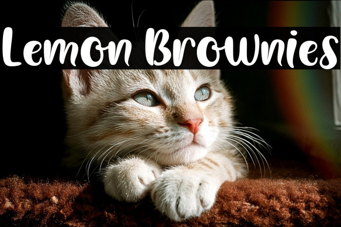 Lemon Brownies Example 3