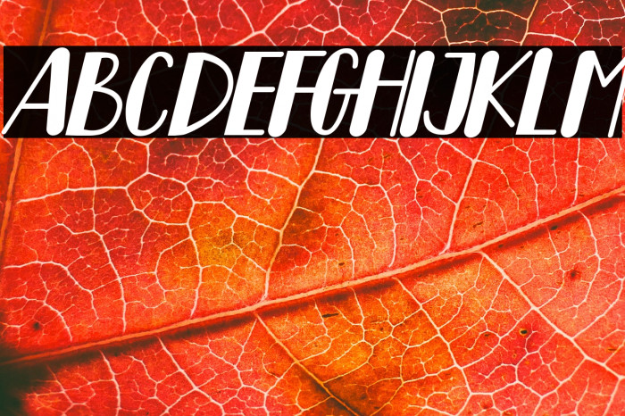 Lemon Drink Italic Example 1