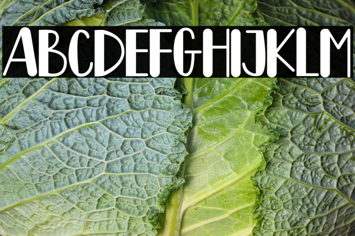 Lemon Drink Example 2