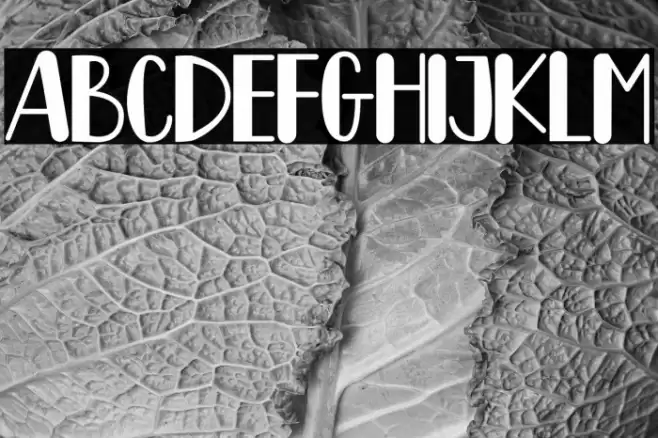 Lemon Drink Font examples