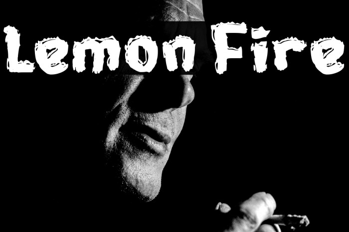 Lemon Fire Example 3