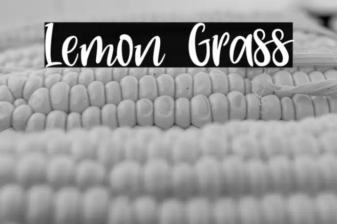 Lemon Grass Font examples