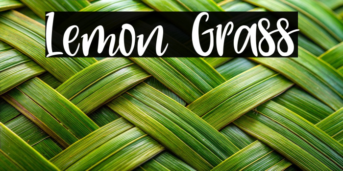 Lemon Grass Example 3
