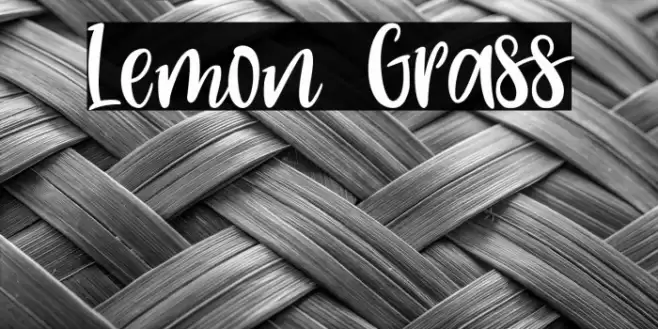 Lemon Grass Font examples