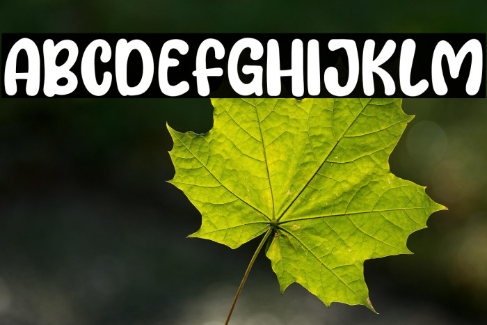 Lemon Love Example 2