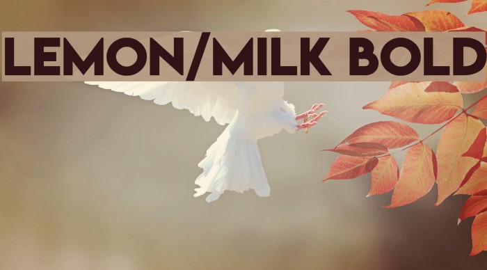 Lemon/Milk bold Font examples