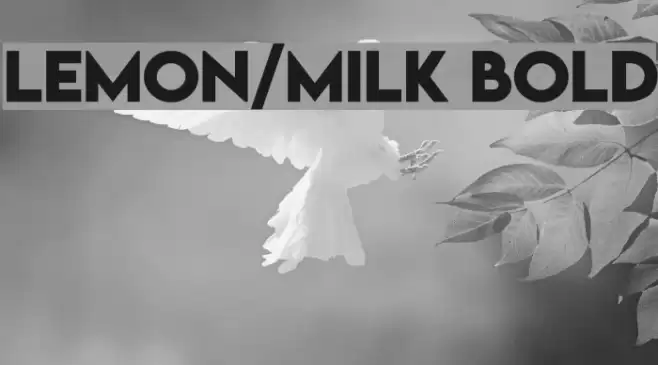 Lemon/Milk bold Font examples