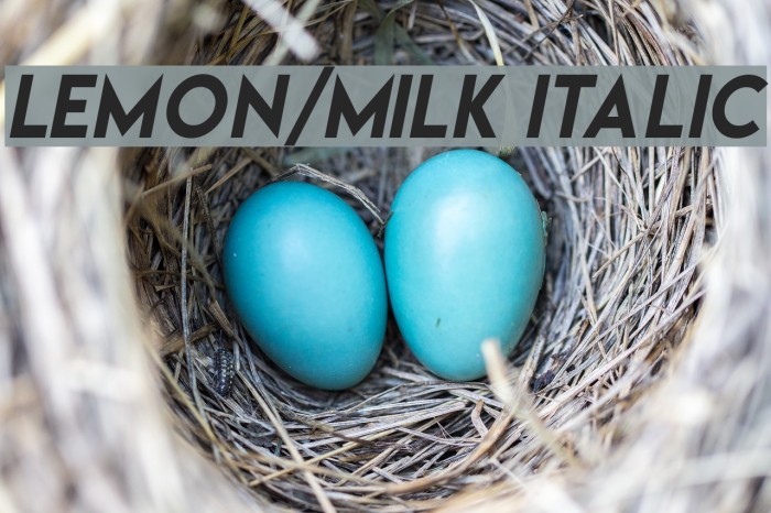 Lemon/Milk italic Polices examples