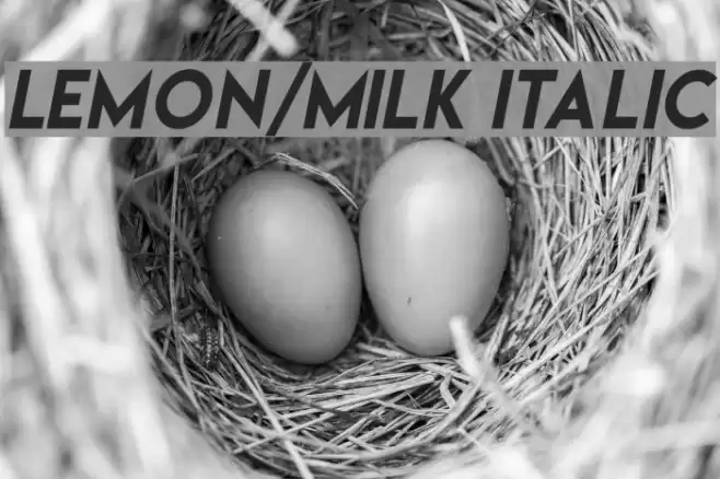 Lemon/Milk italic  examples